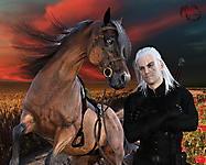 Давай, поскакали!