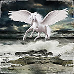 Крылатый конь